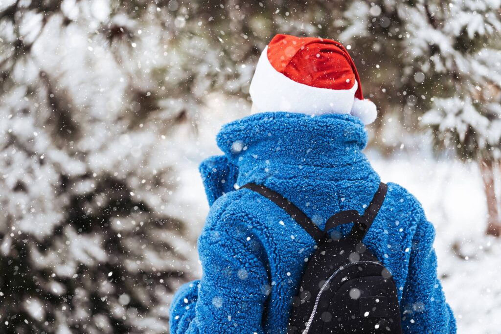 Woman in a Christmas Santa Claus Hat Free Photo