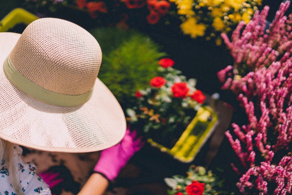 Woman in Garden Hat Planting and Repotting Flowers Free Photo