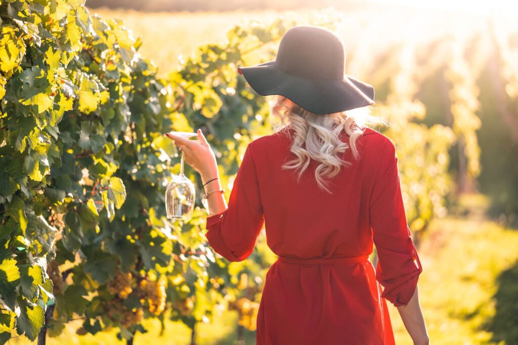 Woman in Red Dress Walking Through the Vineyard Free Photo