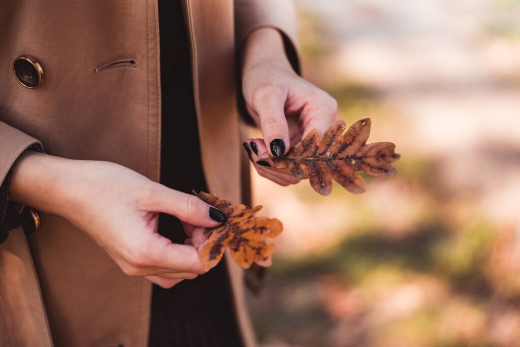 Woman in Trench Coat Holding Autumn Leaves Free Photo