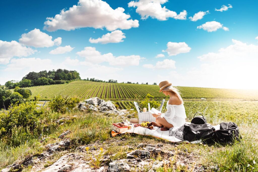 Woman Reading a Book on a Picnic in The Middle of The Nature Free Photo