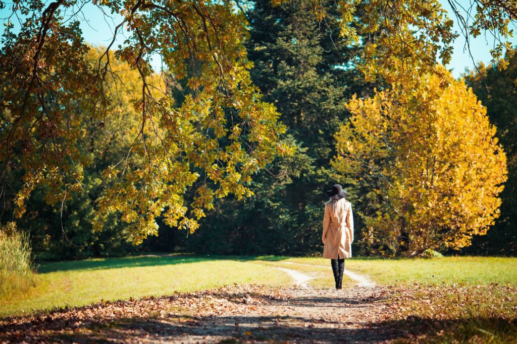 Woman Walking in a Park in Autumn Free Photo