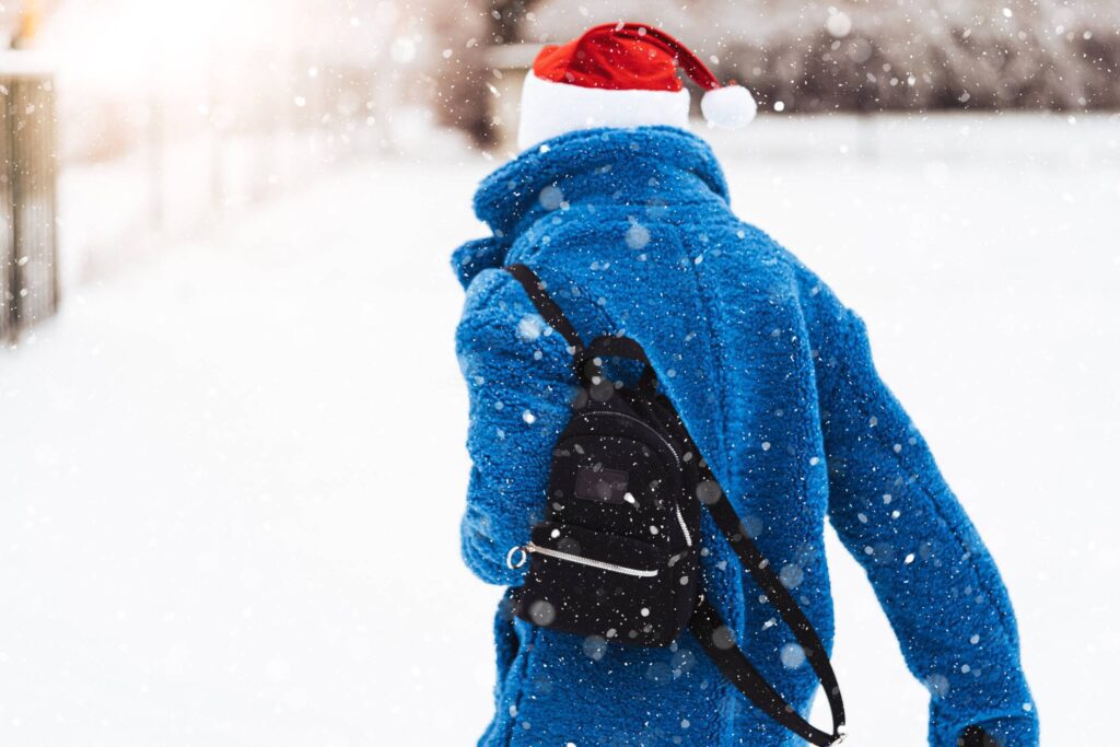 Woman Walking in a Snowy Landscape Free Photo