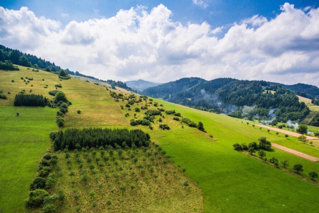 Wonderful Hills Scenery with Green Grass and Trees Free Photo