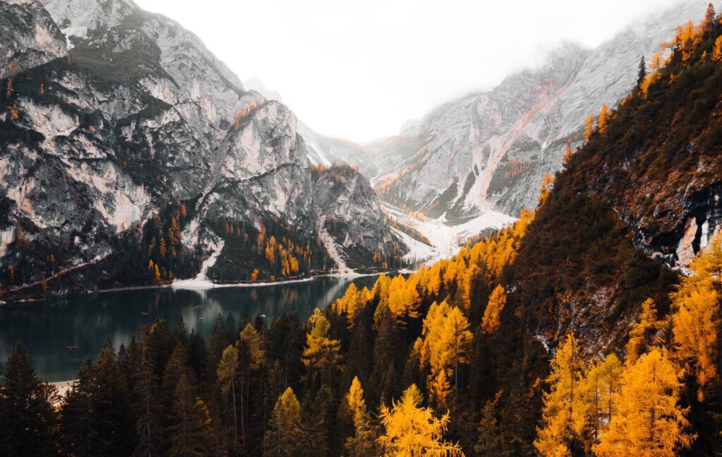 Wonderful Mountains in Fall Colors Free Photo