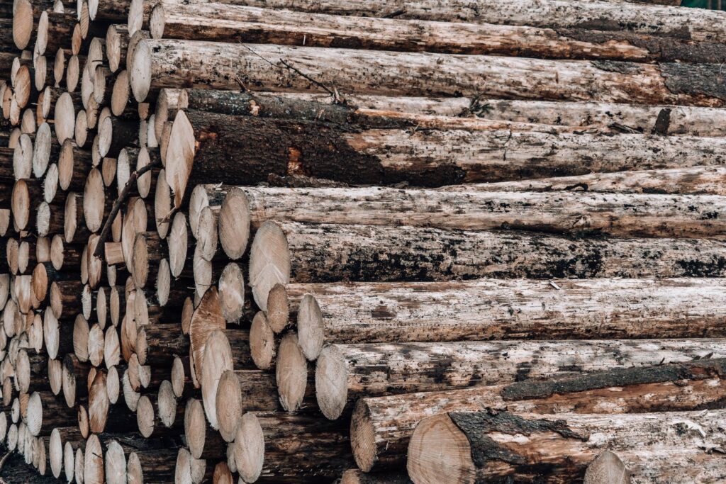 Wood Logs Free Photo