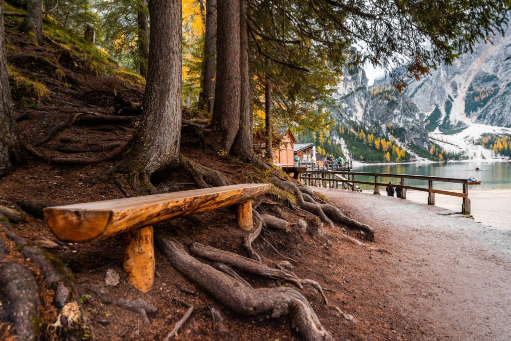 Wooden Bench Near Lago di Braies Free Photo