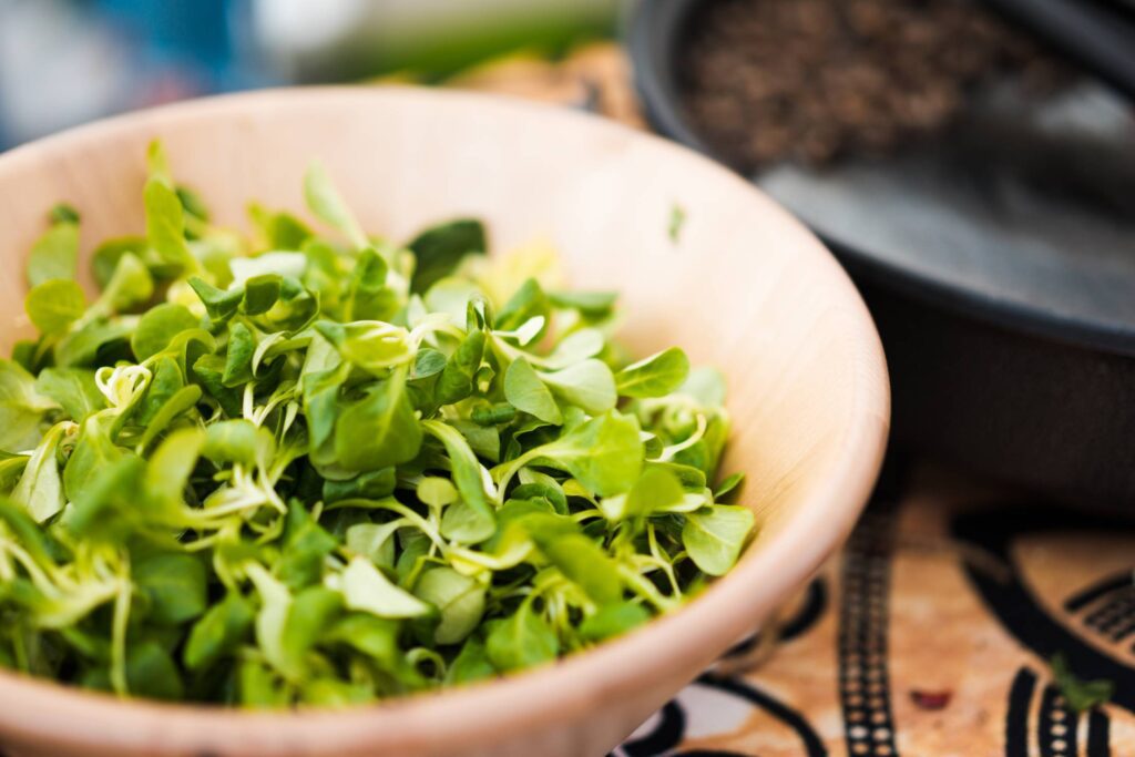 Wooden Bowl with Fresh Basil Leaves Free Photo