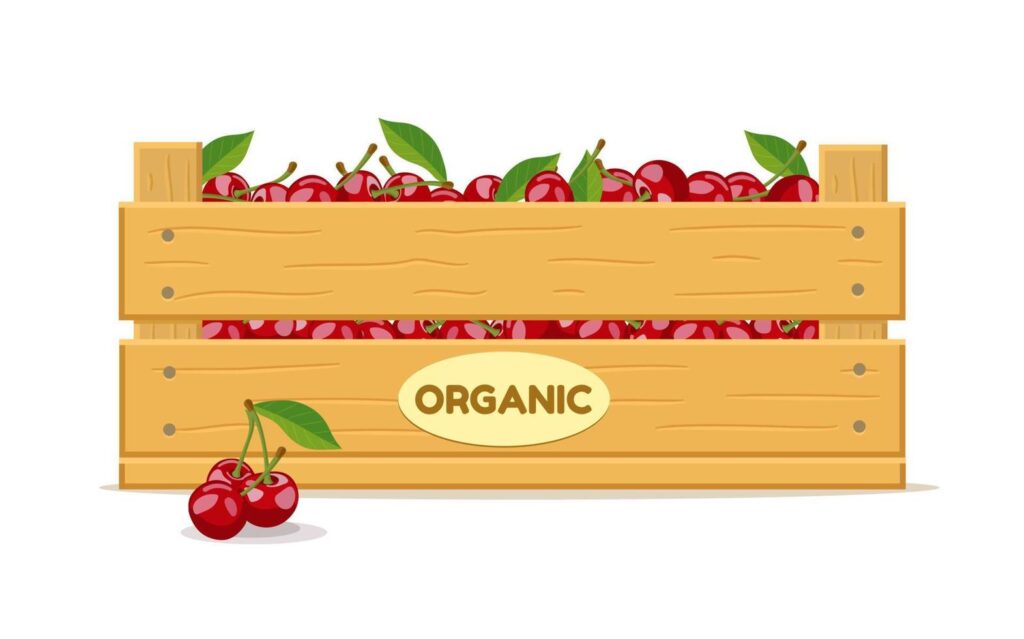 Wooden box with cherries. Fruit box icon. Vector illustration isolated on white background. Stock Free