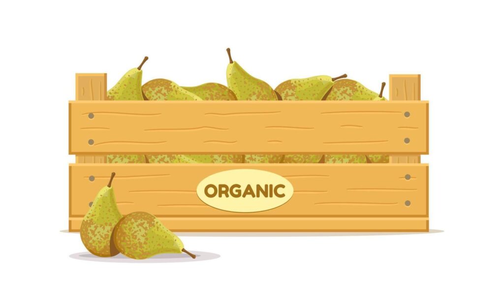 Wooden box with green pears. Fruit box icon. Vector illustration isolated on white background. Stock Free