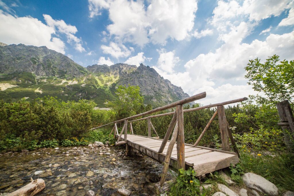 Wooden Bridge in High Tatras Mountains Free Photo