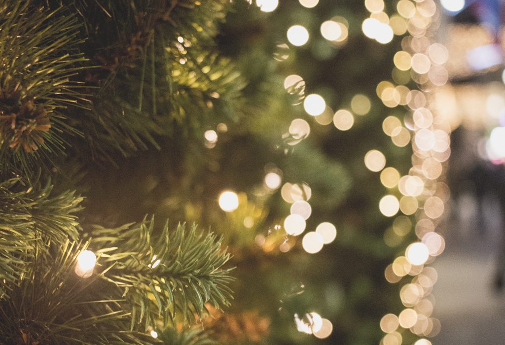 Christmas Lights Tree Bokeh Free Stock HD Photo