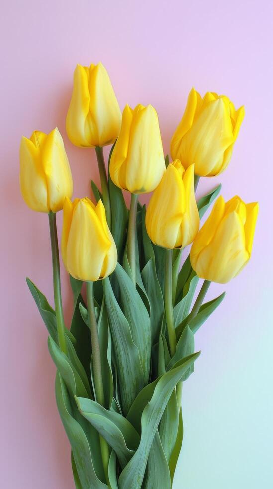 Yellow Tulips On Pink Background Stock Free