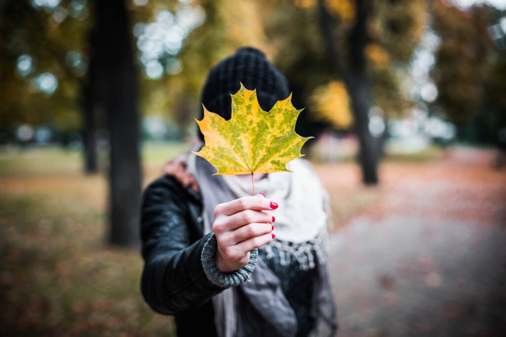 Young Girl Holding Autumn Colored Maple Leaf Free Photo