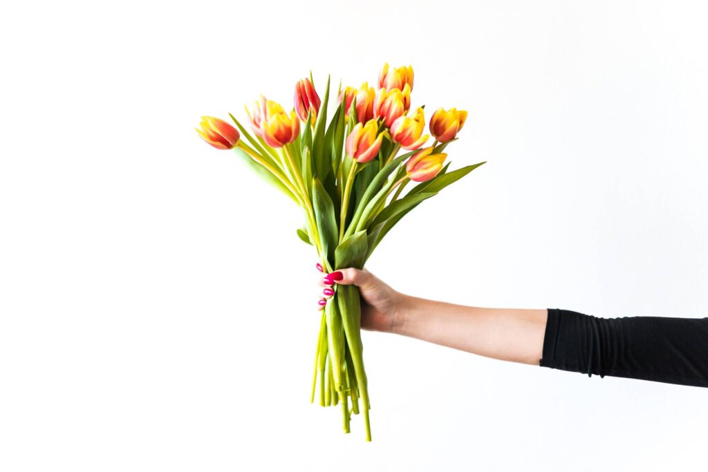 Young Woman Holding Bouquet of Kees Nelis Tulips Free Photo