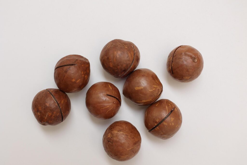 Macadamia nuts seeds background Stock Free