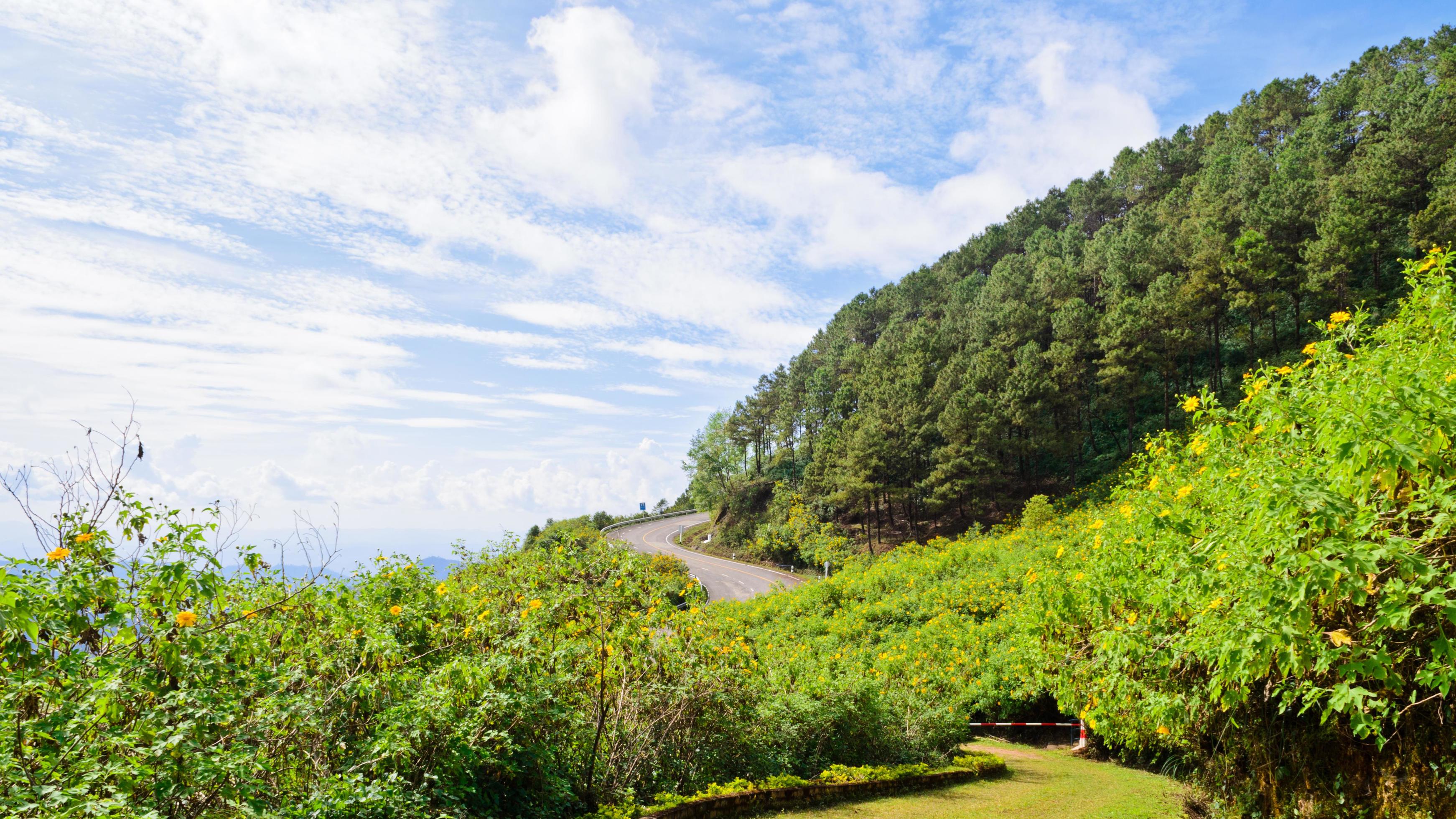 Scenic nature Doi Mae Uko mountain Stock Free