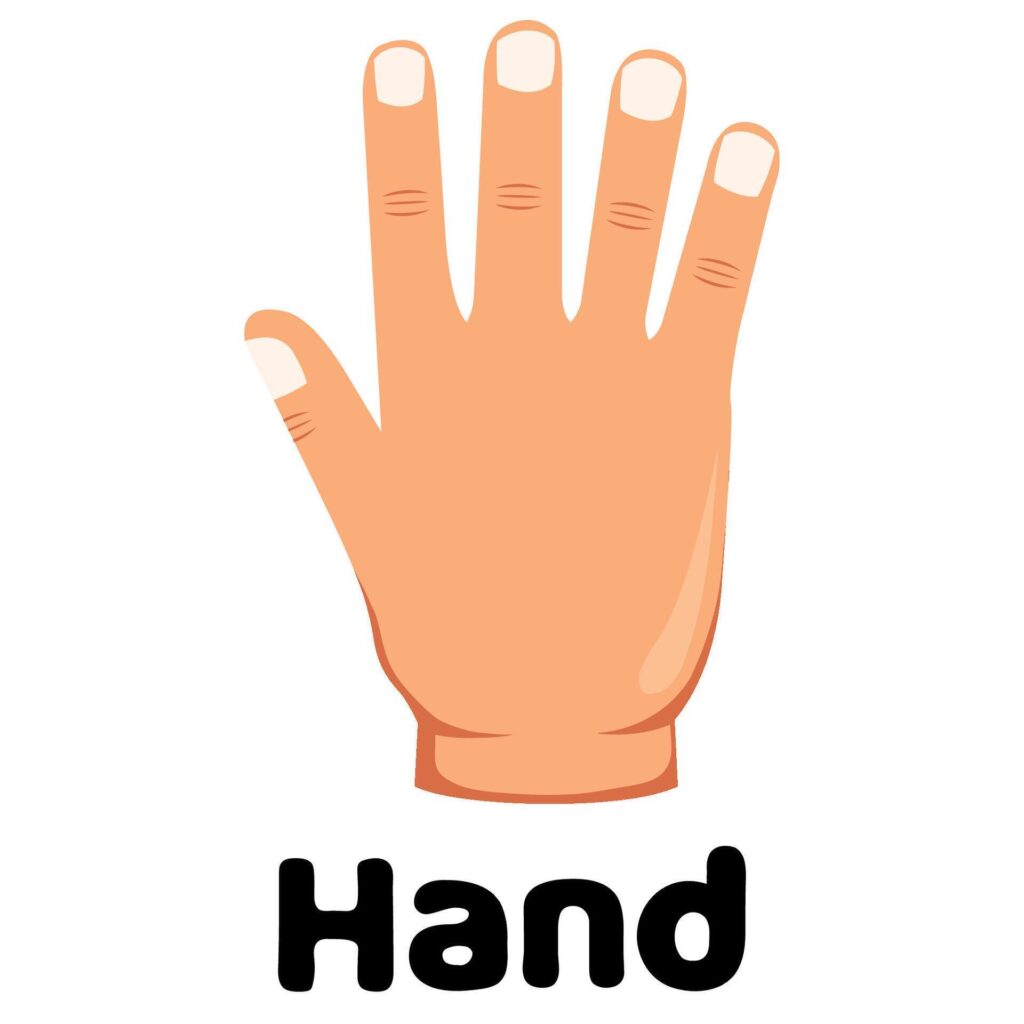 hand icon illustration Stock Free