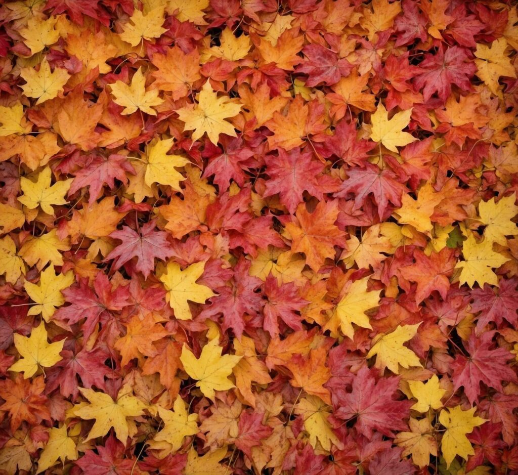 Autumn leaves background. Colorful autumn leaves background. Fall background Free Photo