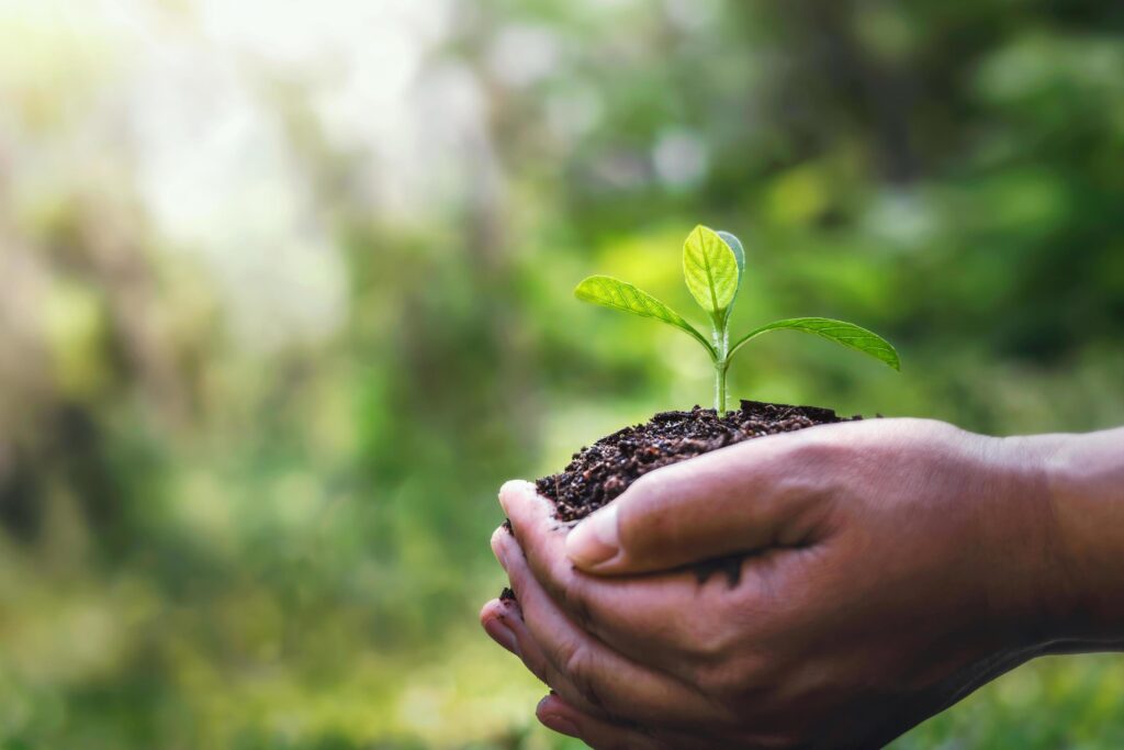 Hand holding young plant on blurred green nature background and sunlight. world environment day concept Stock Free