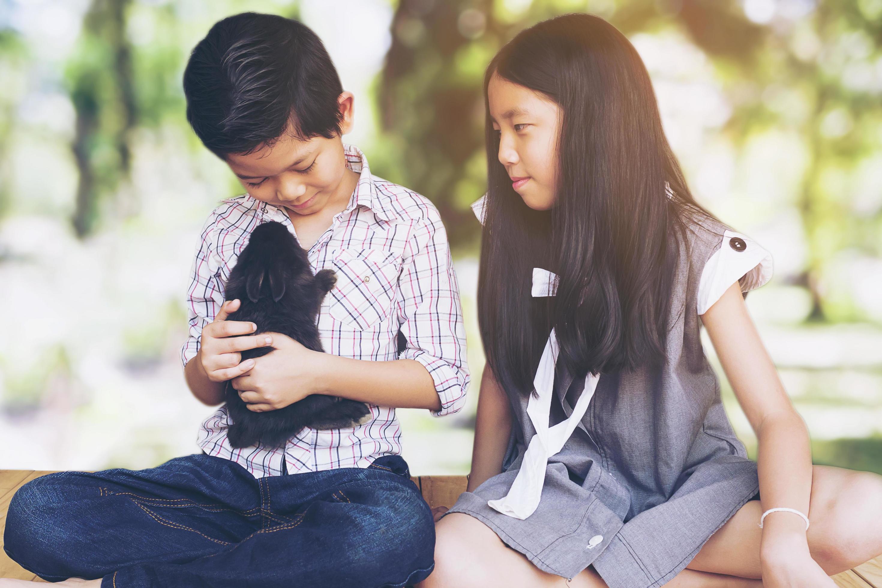 Boy and girl playing with baby rabbit Stock Free