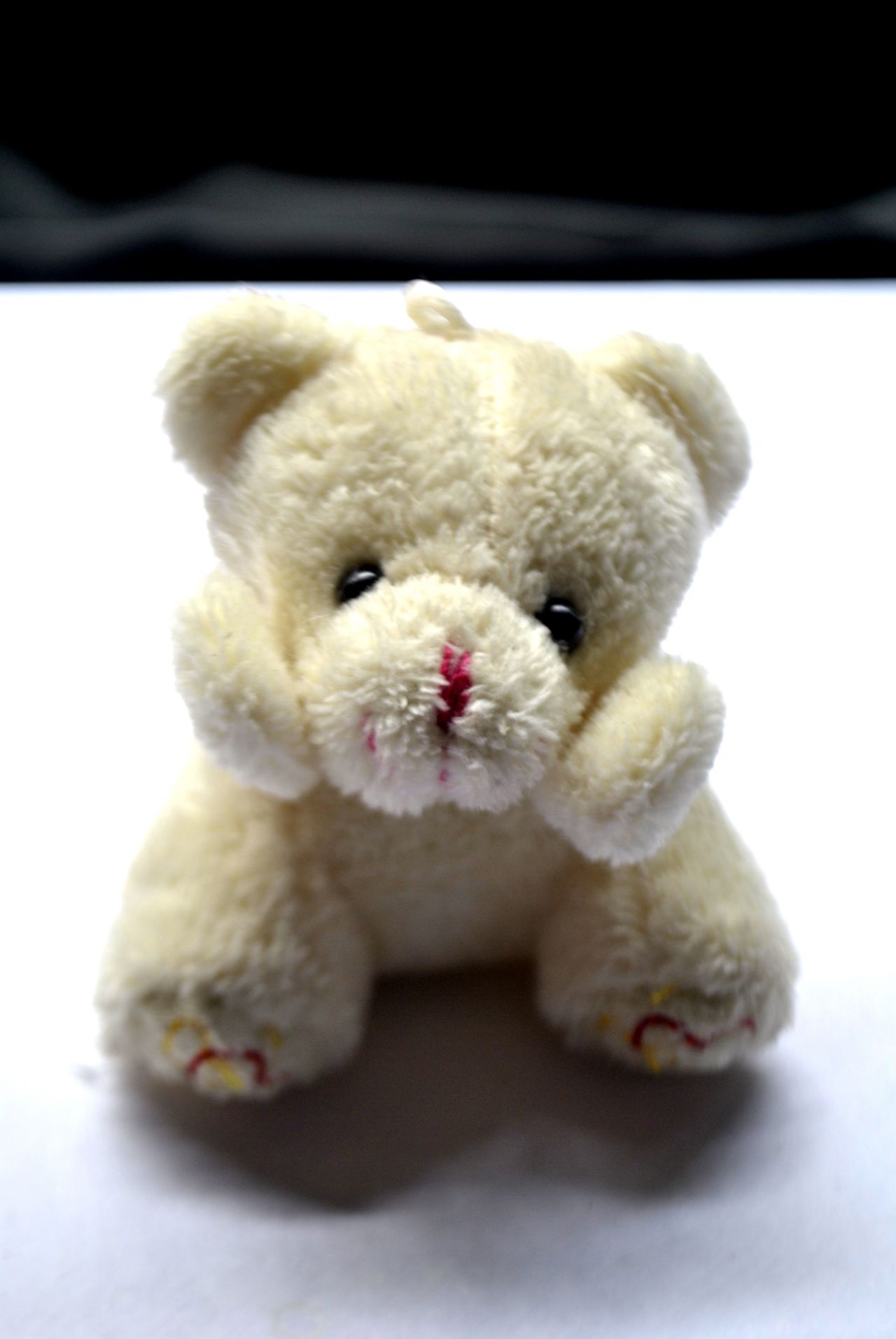 Soft Toy Teddy Bear Stock Free