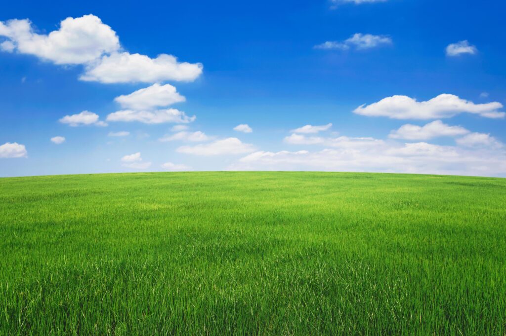 green grass field with blue sky ad white cloud. nature landscape background Stock Free