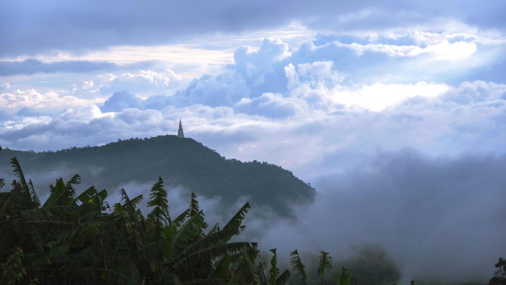 The background of nature with fog on the mountain. In the rainy weather in the countryside Stock Free