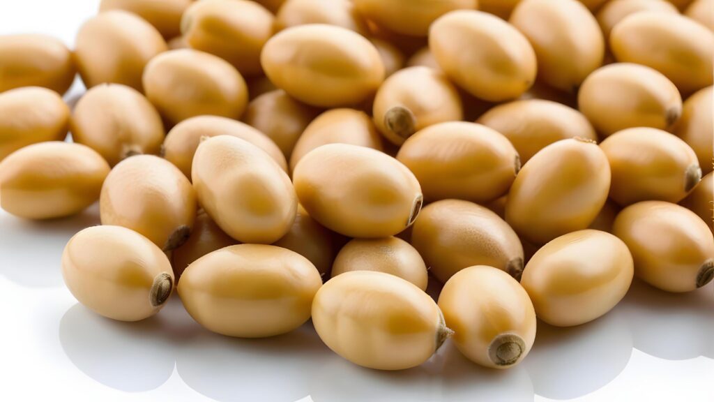 Close-up of Soybeans Isolated on White Background Stock Free