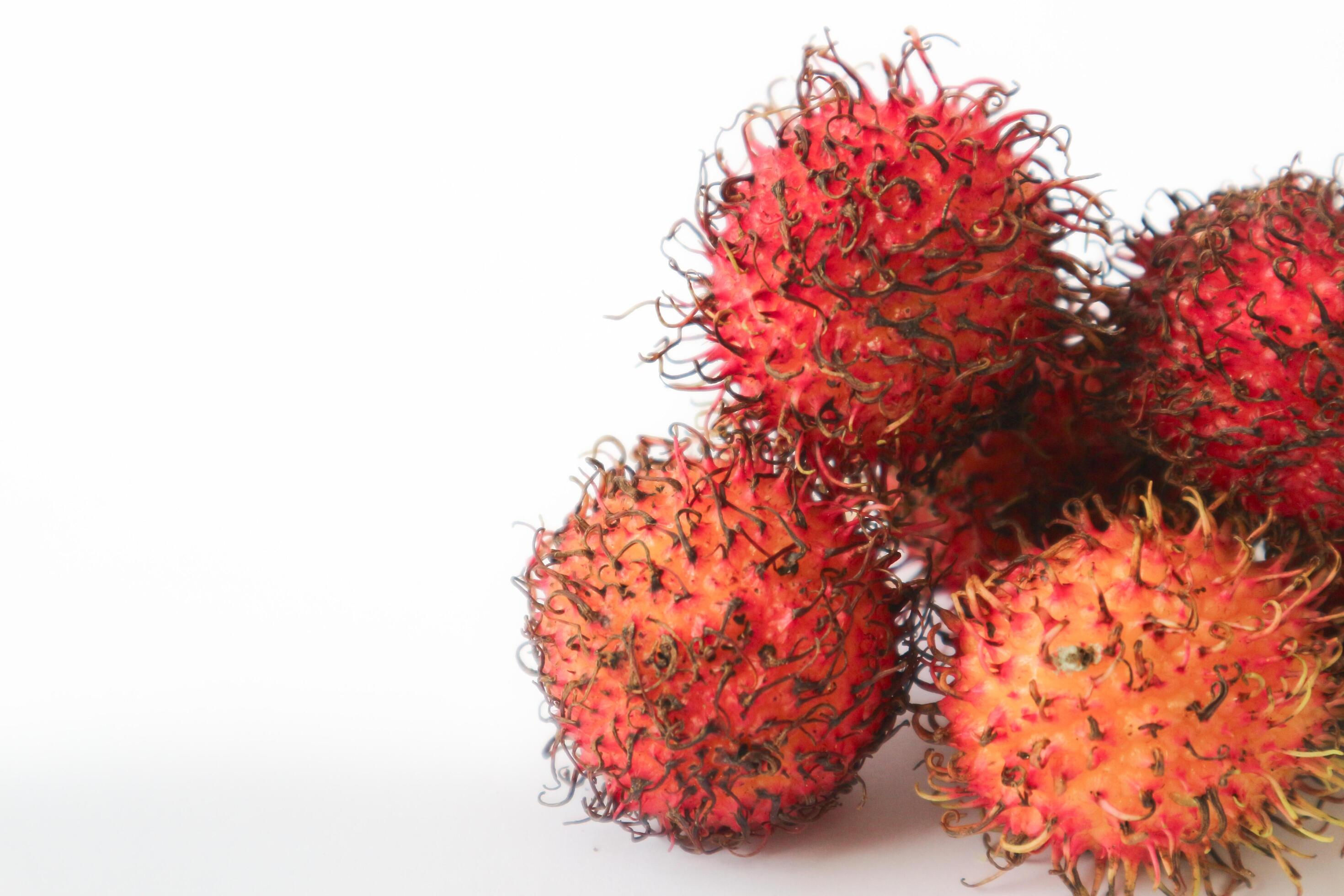 Rambutan taxonomic name, Nephelium lappaceum is a medium sized tropical tree in the Sapindaceae family Stock Free