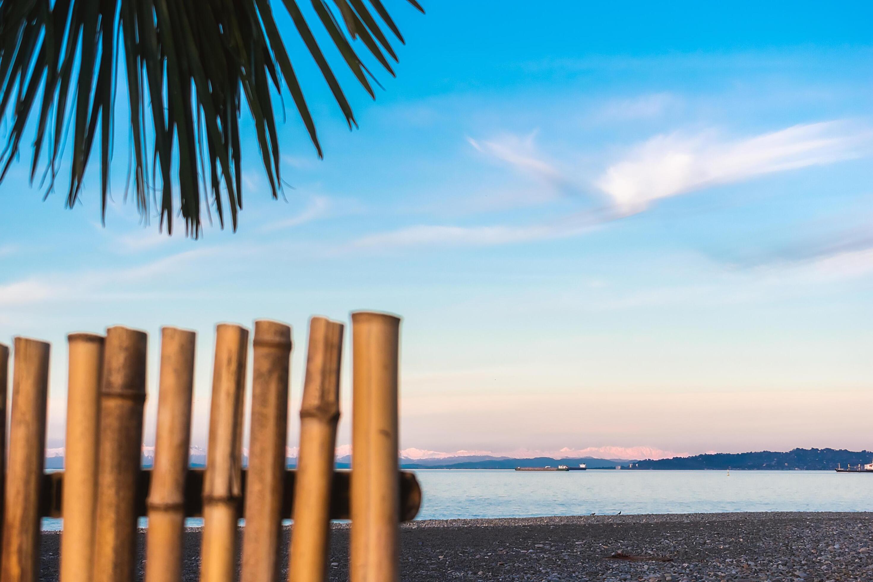 Abstract background on a tropical holiday theme. Tropical background on the seashore with palm tree and bamboo fence. Stock Free