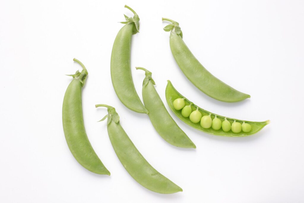 Pea on white background Stock Free