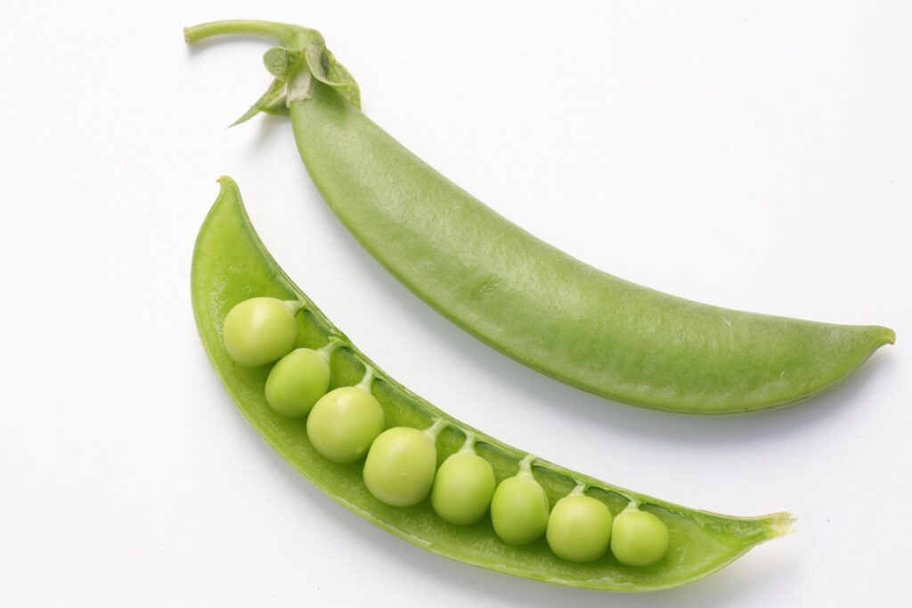 Pea on white background Stock Free