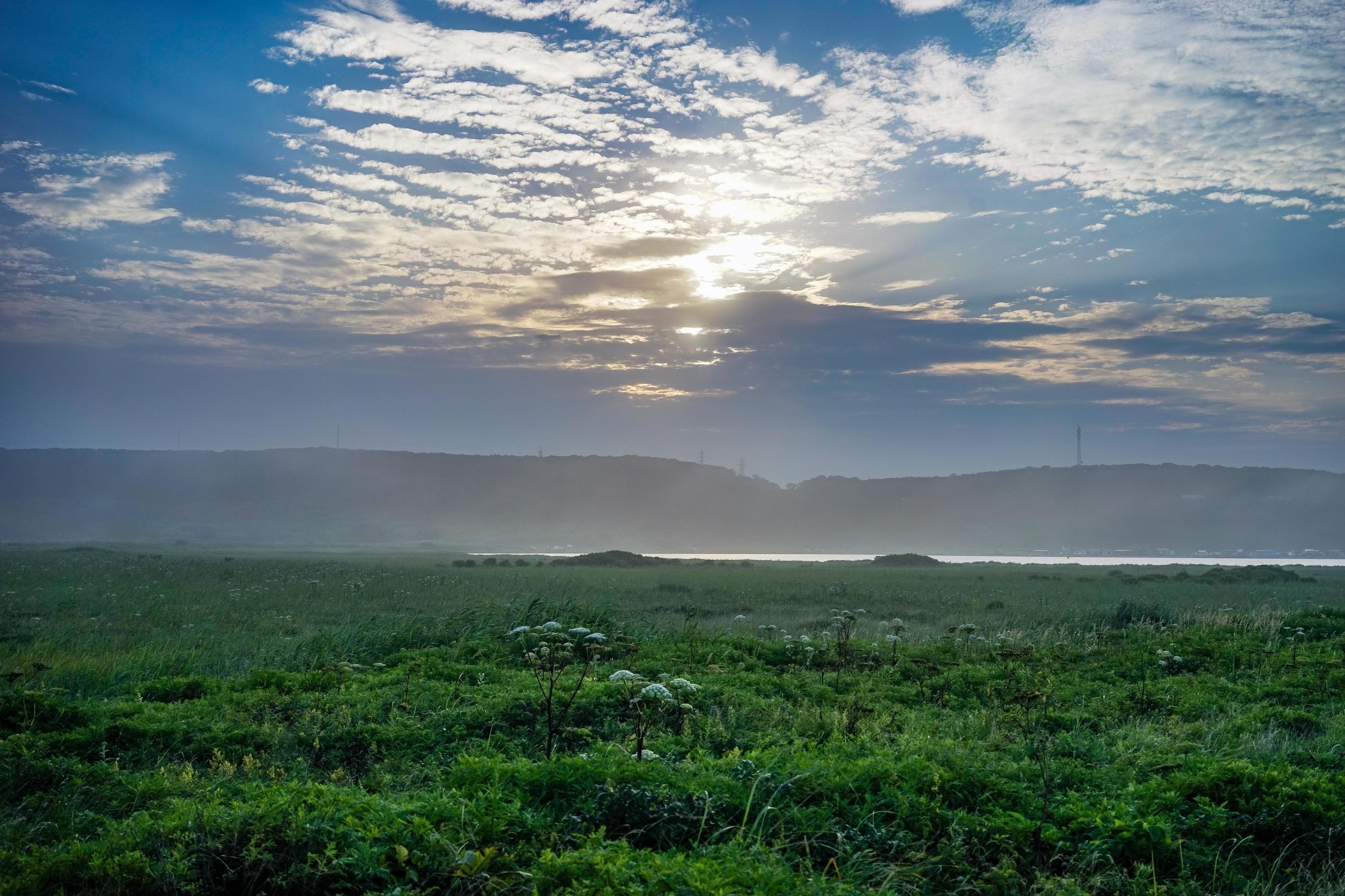 Natural landscape with a green field under a blue sky Stock Free