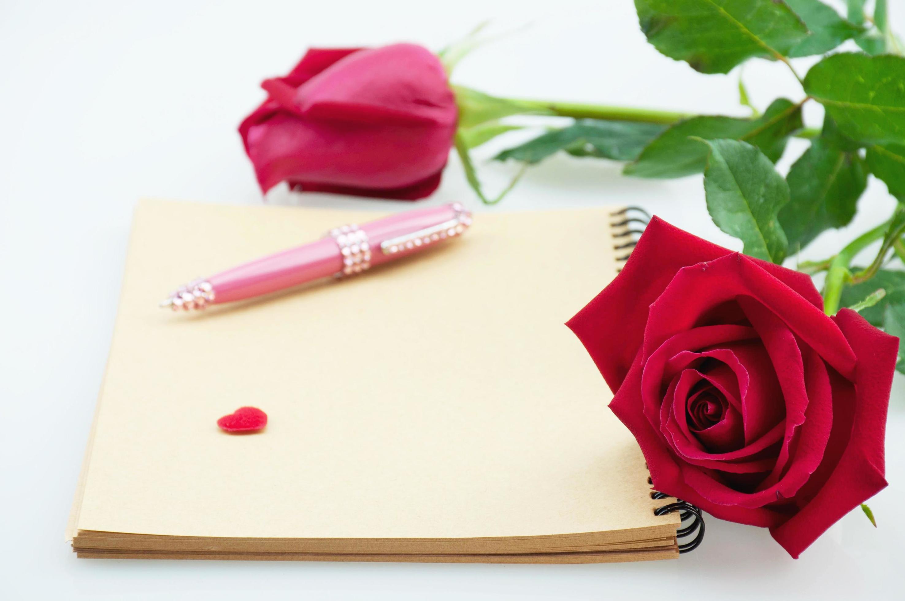 Red rose and pink pen with notebook on white background – love and flower e-card concept Stock Free