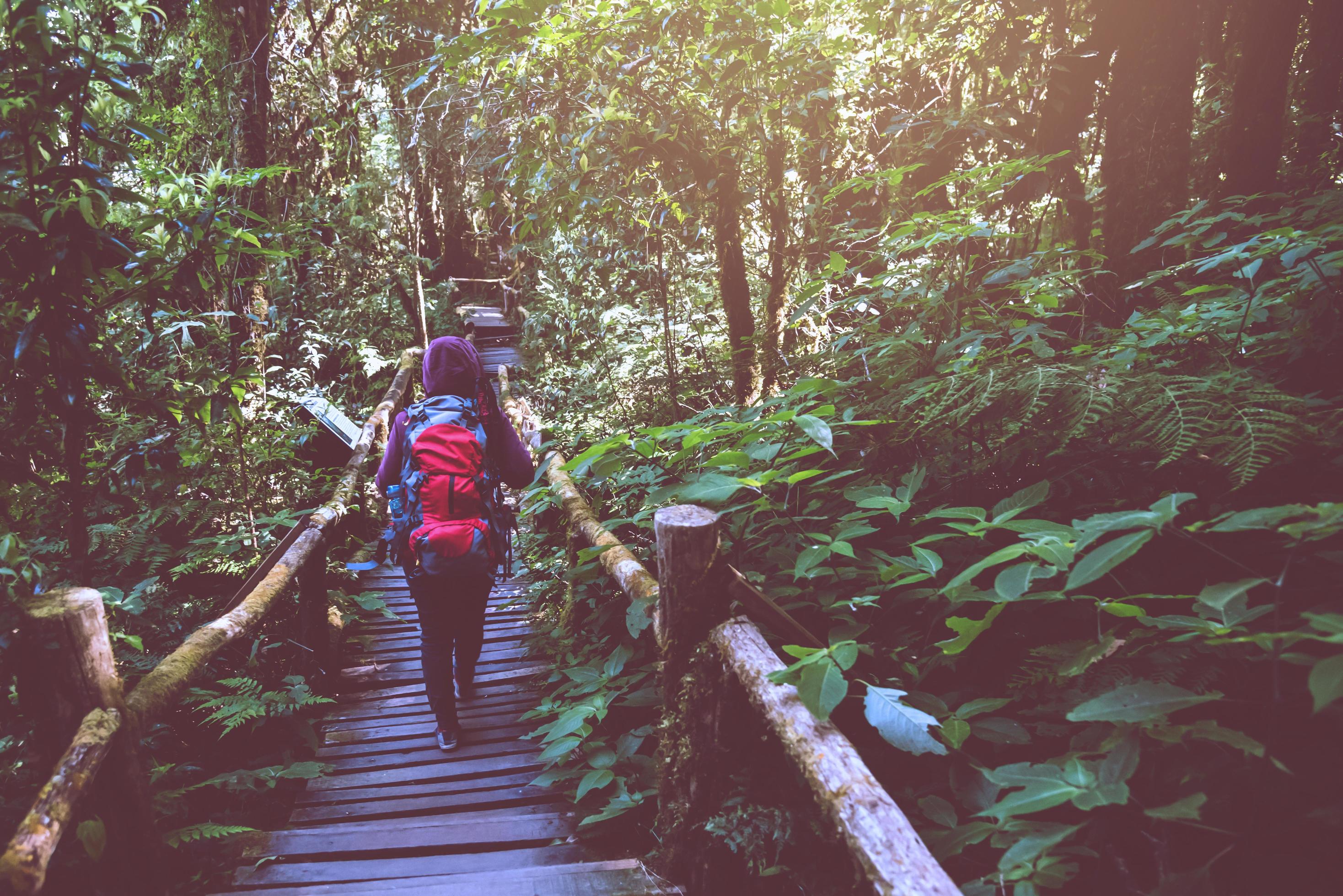 asian women travel nature. Travel relax. Nature Study in the Jungle. Thailand Stock Free