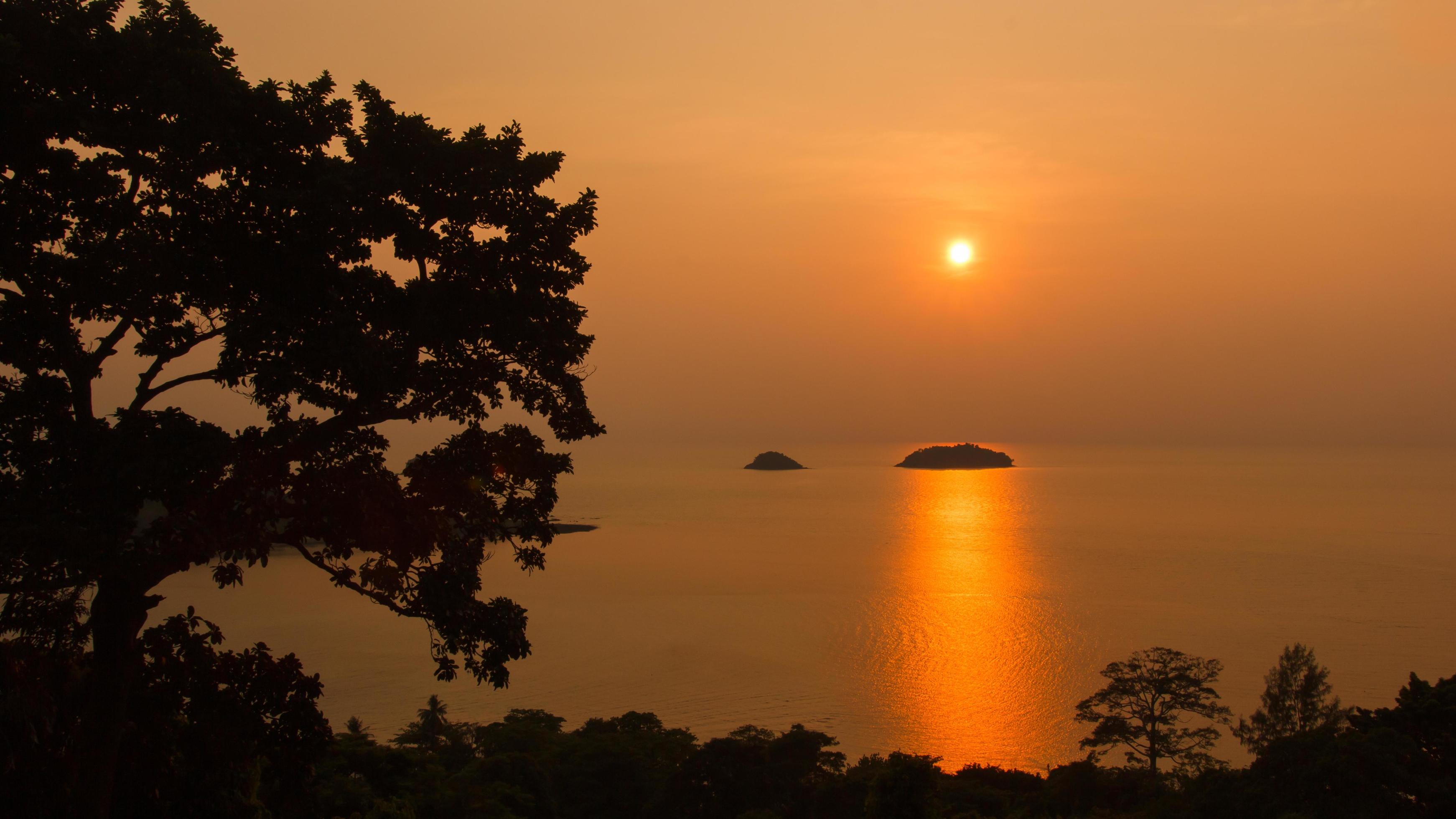 Natural silhouette of a sea view at sunset with trees framed in orange tones, nobody, copy space. Stock Free