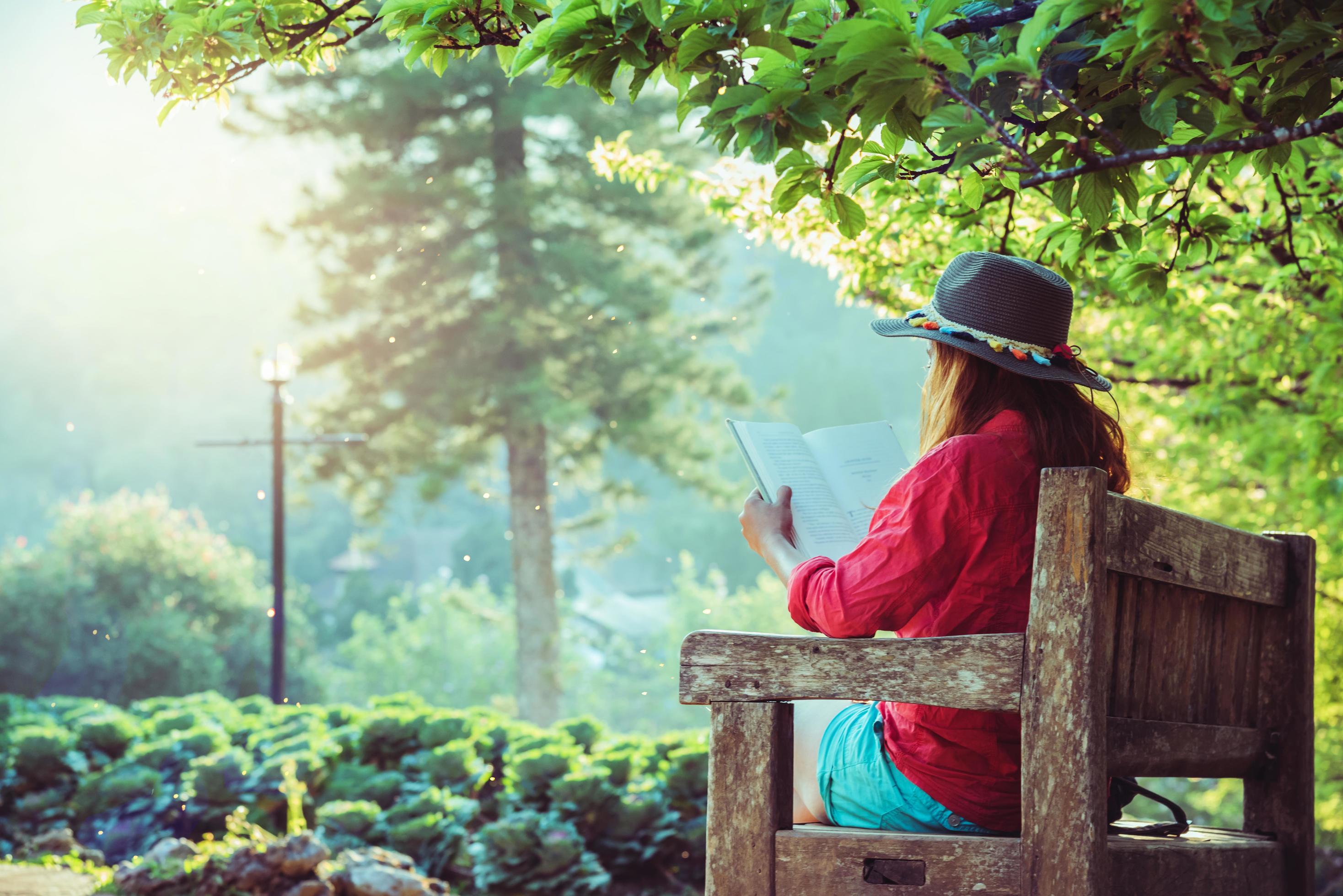 Asian woman travel nature. Travel relax. Read the book on the bench in the park in summer. Stock Free