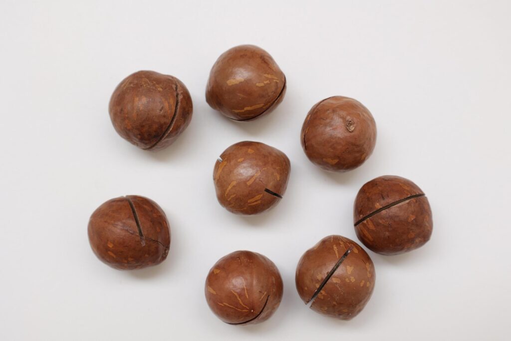 Macadamia nuts seeds background Stock Free