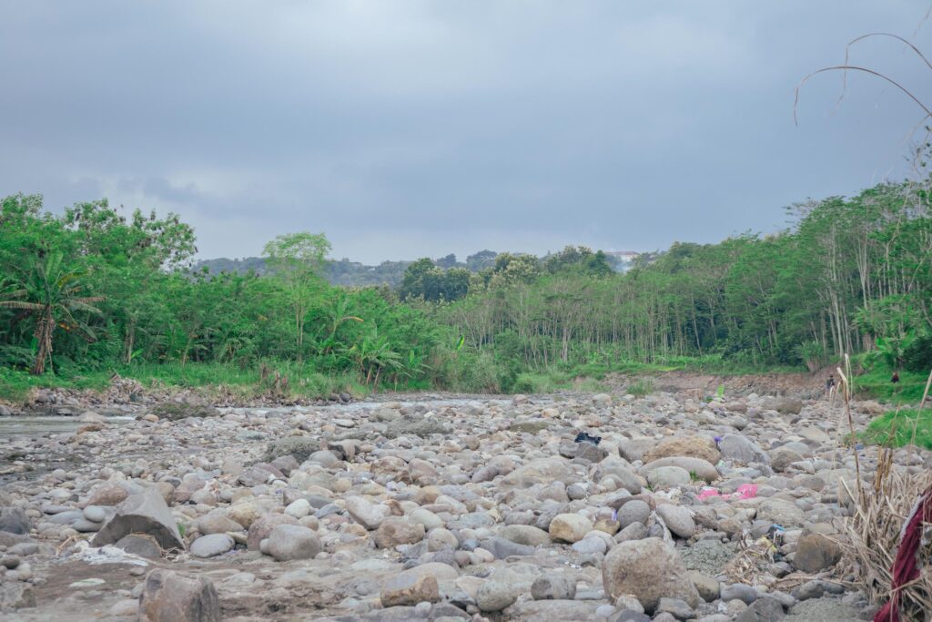 River side with river stone and green ambush when late afternoon. The photo is suitable to use for climate changes poster and nature background. Stock Free