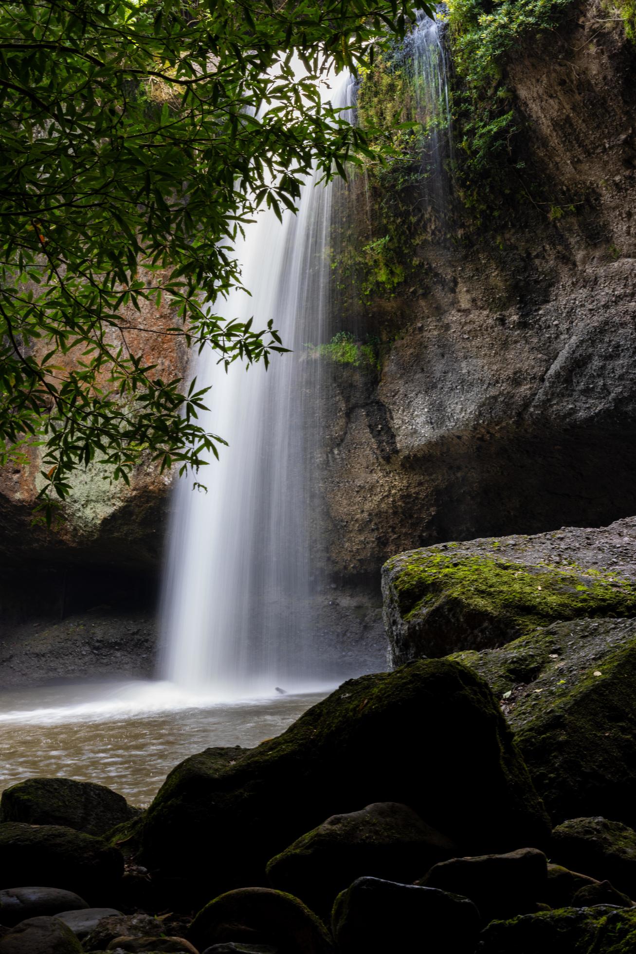 A natural waterfall in a big forest in the midst of beautiful nature. Stock Free