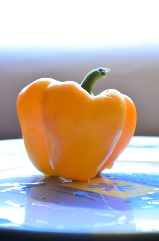 Yellow Pepper Capsicum Stock Free