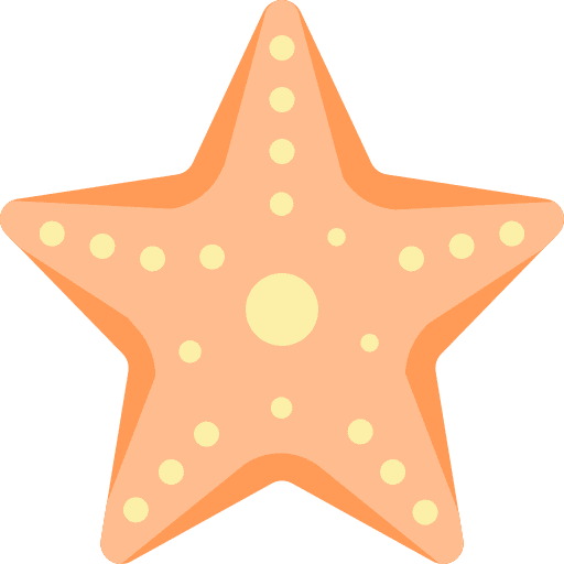 Summer, star fish, ocean icon