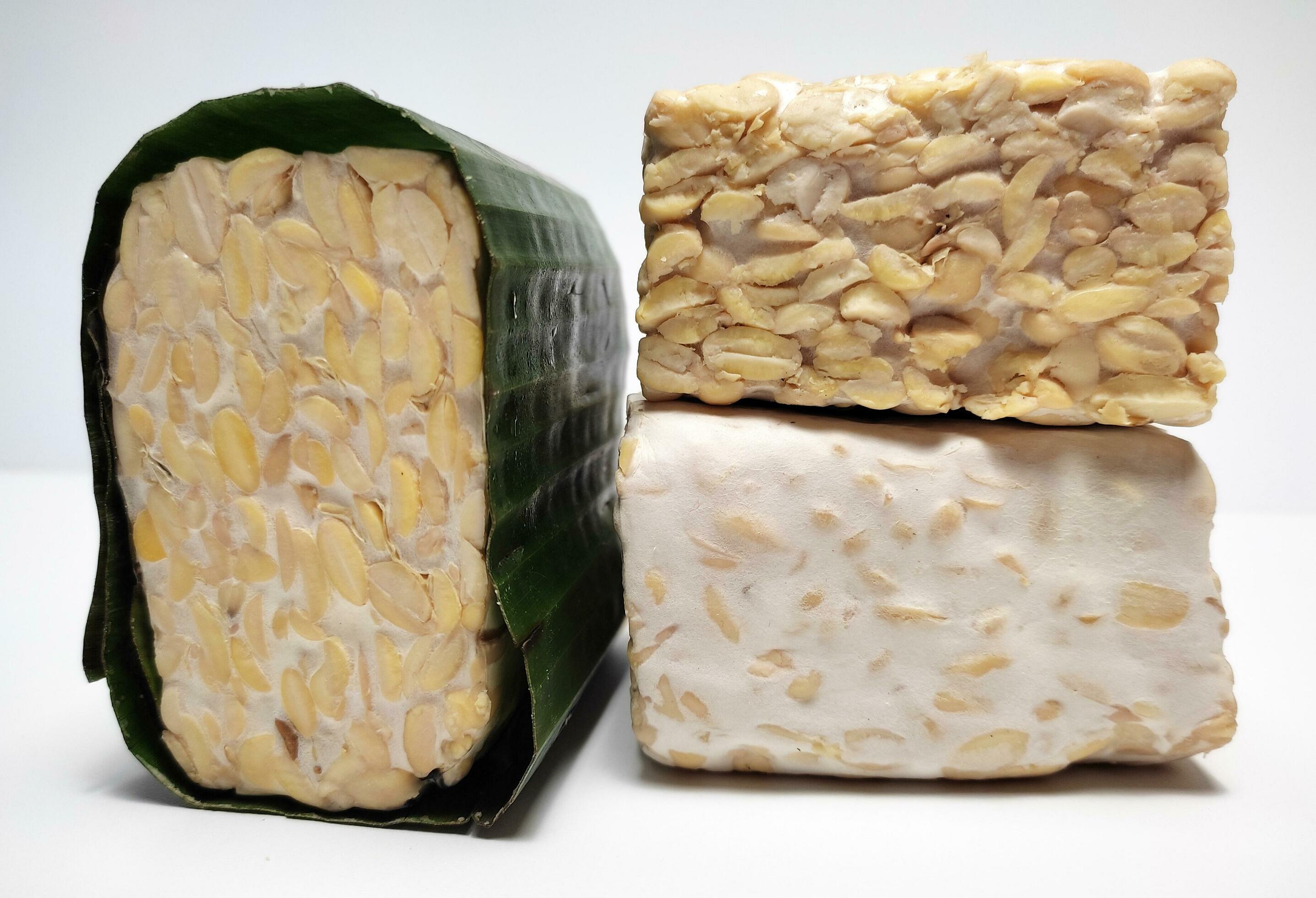 Raw Tempeh or Tempe, Indonesian traditional food, made from fermented soybeans, On White Background. Stock Free