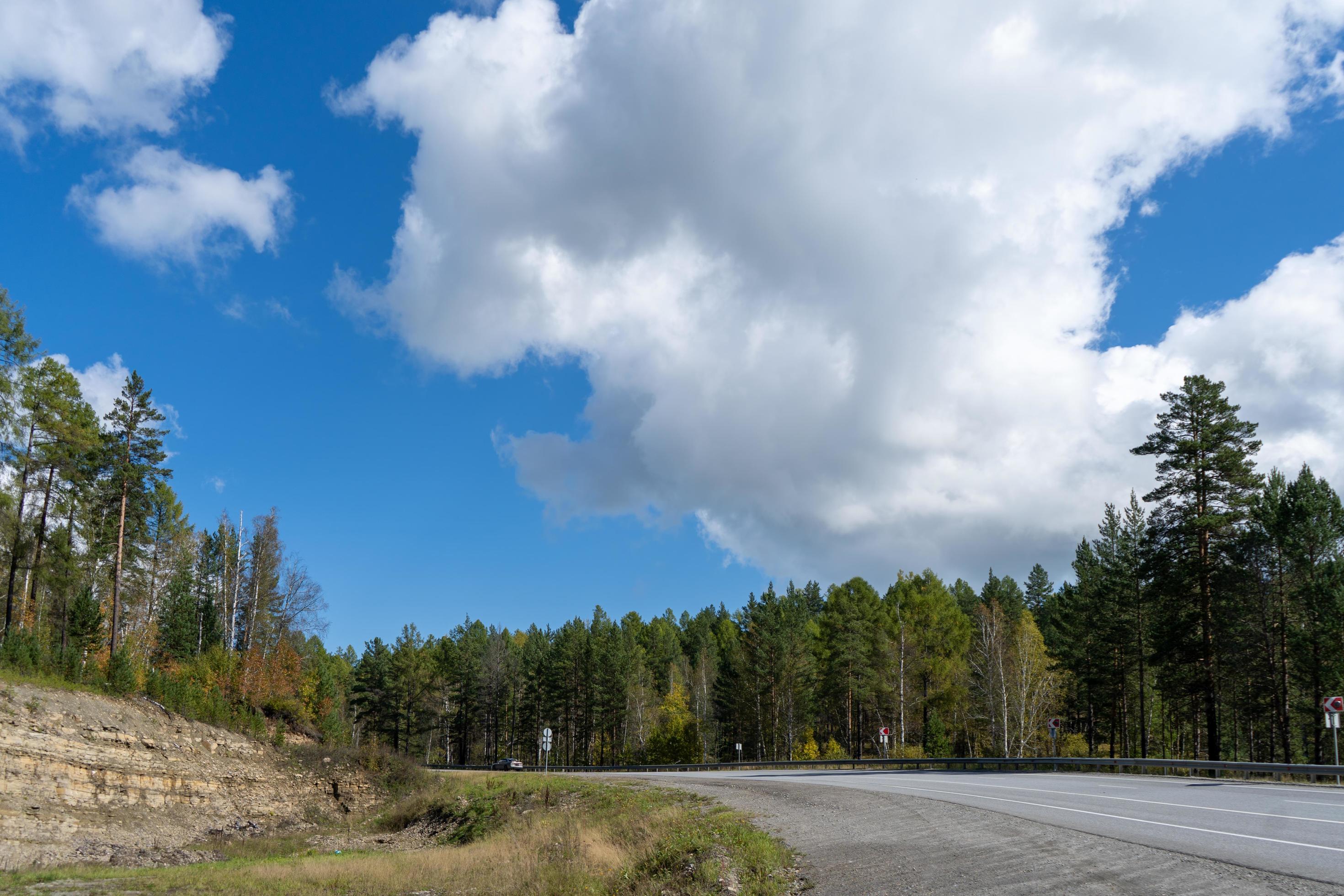 Natural landscape with trees on a blue sky background Stock Free