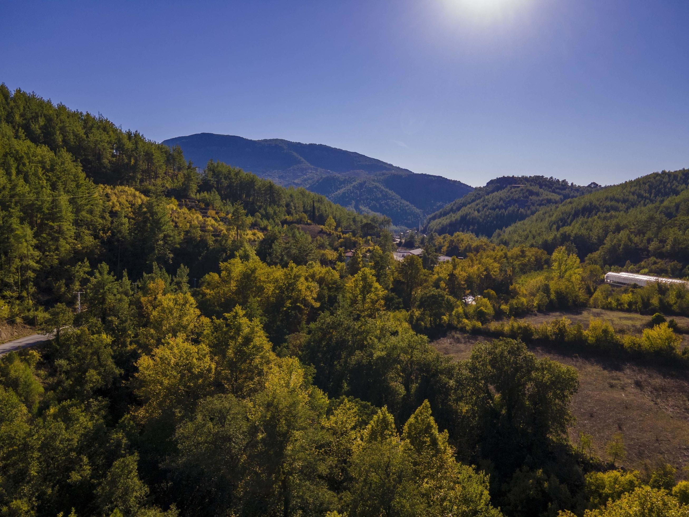 breathtaking views from the air in nature. it’s autumn here Stock Free