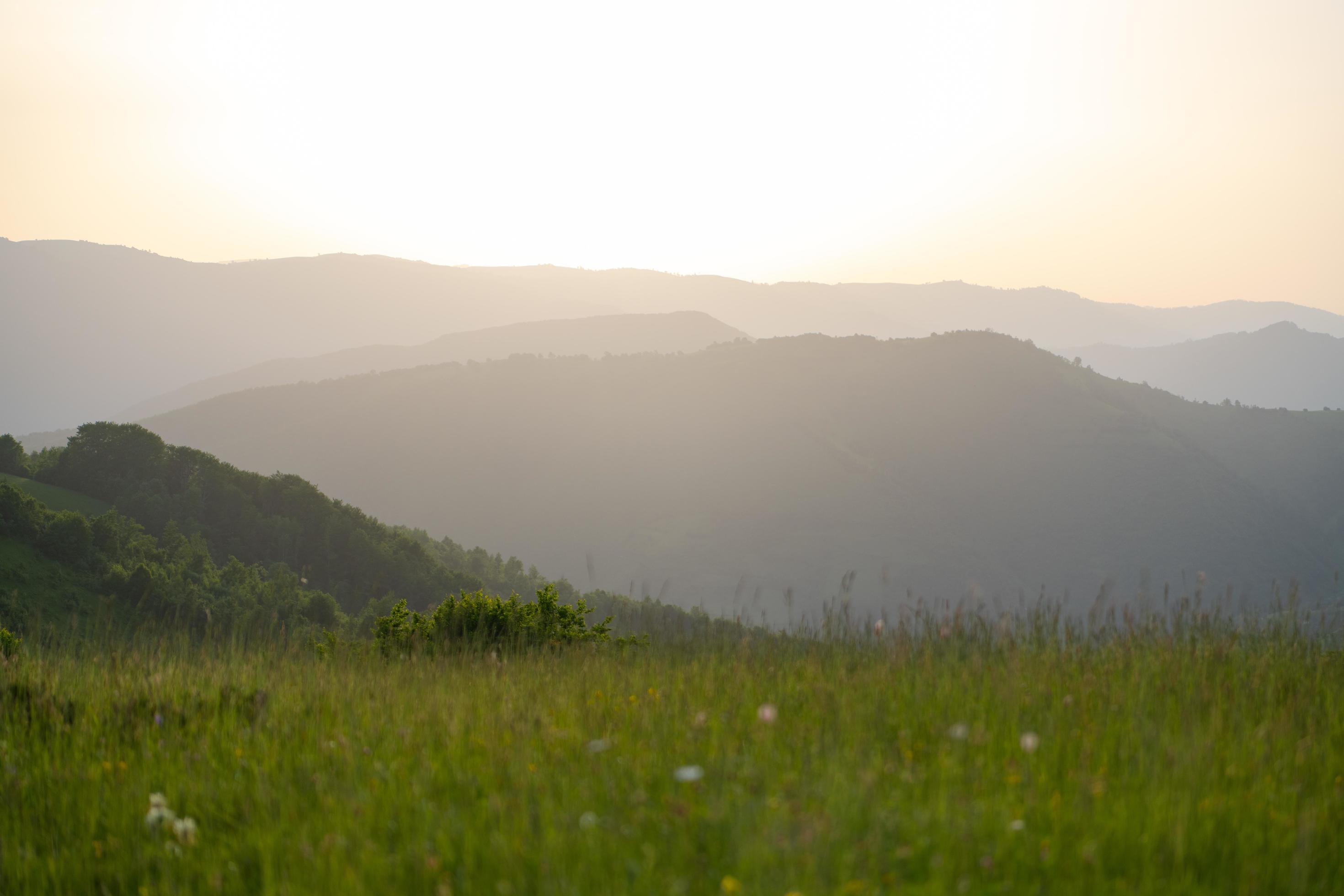 landscape nature summer Stock Free