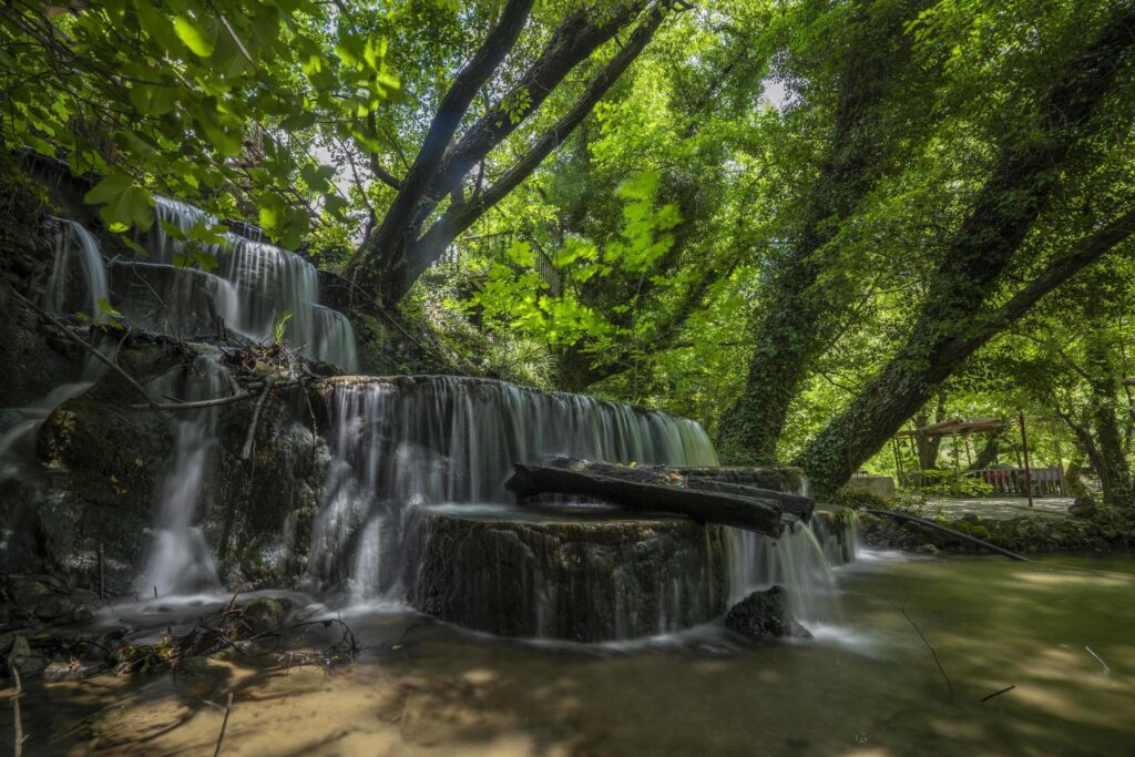 Mountain river stream waterfall green forest Landscape nature plant tree rainforest jungle Stock Free