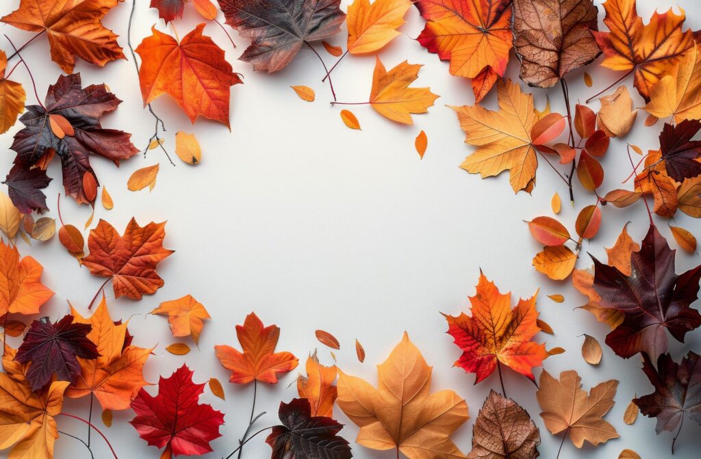 Colorful Autumn Leaves Arranged Around White Background Stock Free