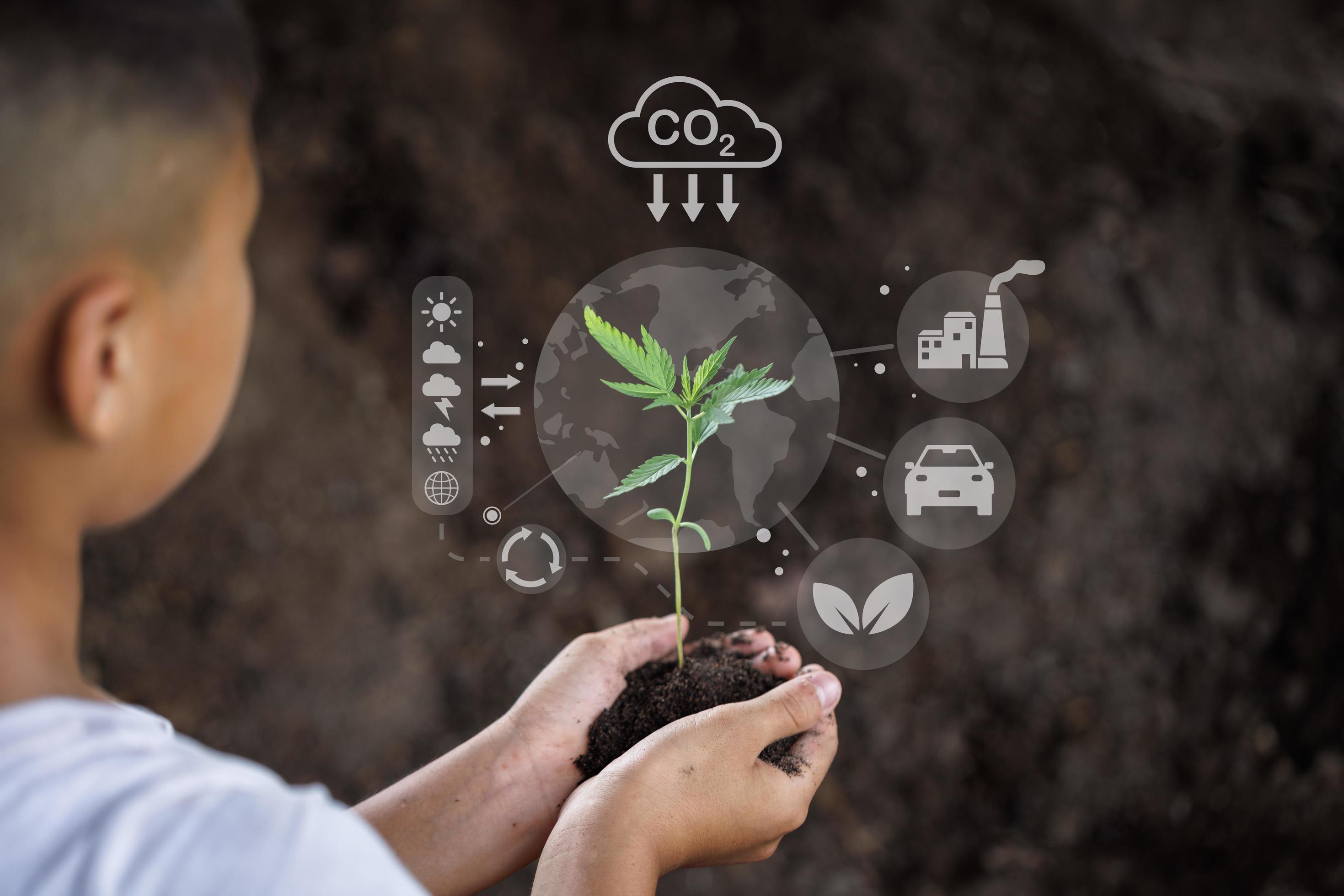 Hand holding seedlings with environment icons over the Network connection on nature background, Technology ecology concept. Stock Free